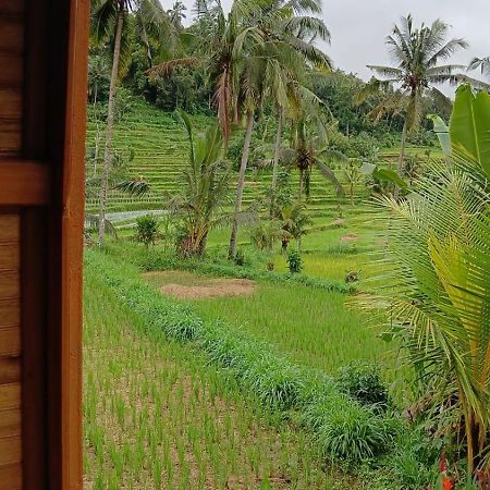 Lumbung Umaluah Villa サイドメン エクステリア 写真